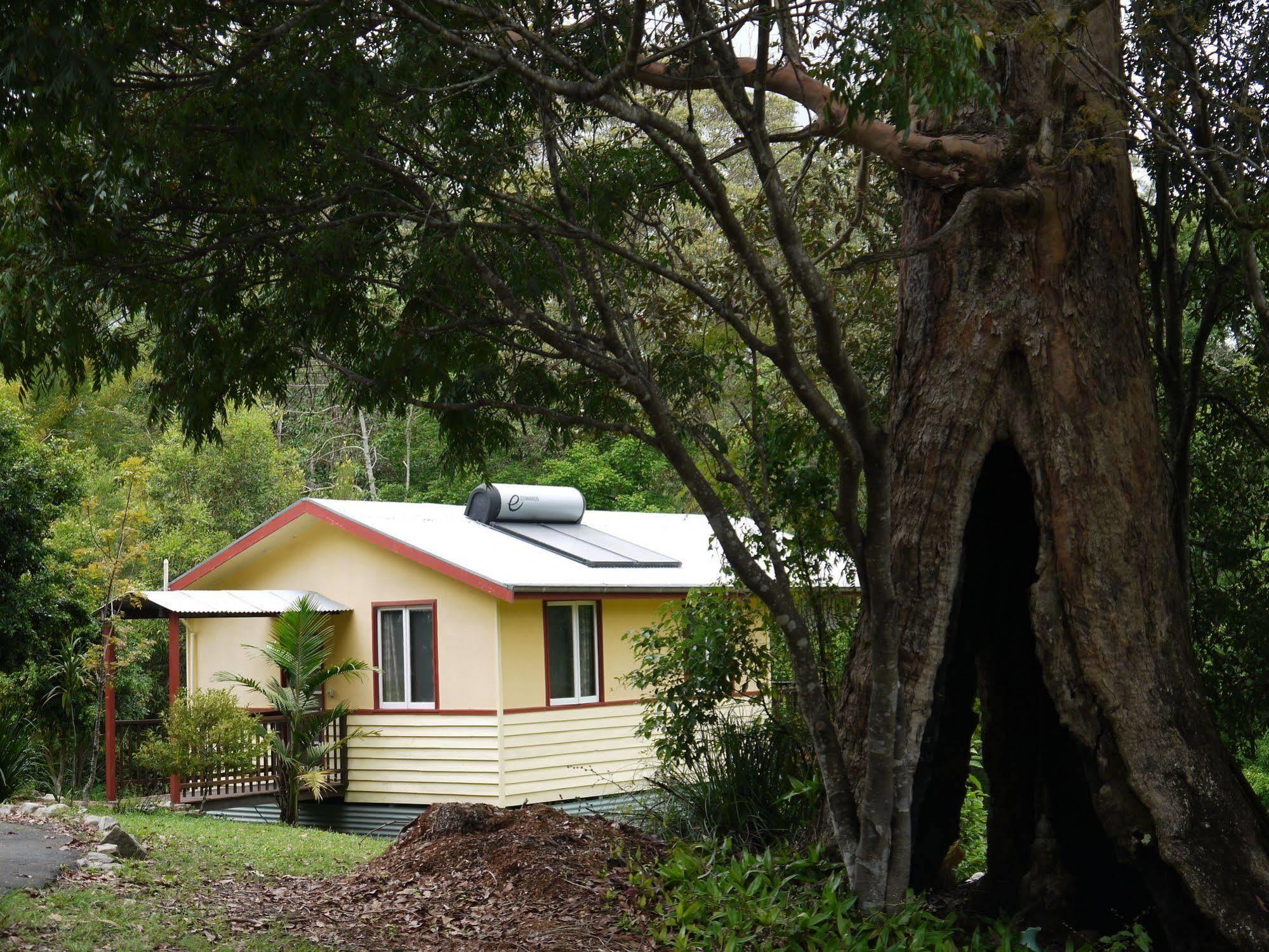 Teretre Cabins Nimbin Villa Eksteriør billede